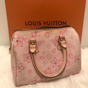 Louis Vuitton vintage Speedy
